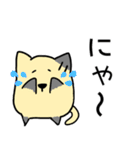 ねこですにゃ（個別スタンプ：25）