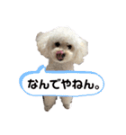 LALAちゃんスタンプ②（個別スタンプ：18）