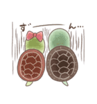 かめ丸とはち丸（個別スタンプ：33）