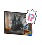 うさカフェりびと仲間達（個別スタンプ：3）