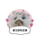 うさカフェりびと仲間達（個別スタンプ：6）