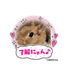 うさカフェりびと仲間達（個別スタンプ：8）