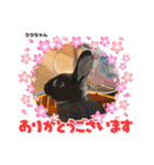 うさカフェりびと仲間達（個別スタンプ：15）