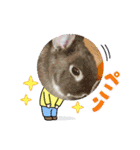 うさカフェりびと仲間達（個別スタンプ：21）