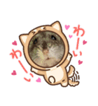 うさカフェりびと仲間達（個別スタンプ：24）