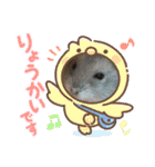 うさカフェりびと仲間達（個別スタンプ：25）