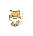 犬のスタンプ(24)（個別スタンプ：9）