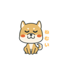 犬のスタンプ(24)（個別スタンプ：10）