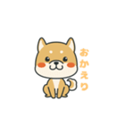 犬のスタンプ(24)（個別スタンプ：16）