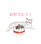 ベンガル猫 つんこ（個別スタンプ：31）