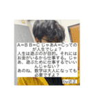 詐欺師の名言（個別スタンプ：11）