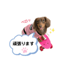 采楽ちゃんスタンプ第2弾♥（個別スタンプ：3）
