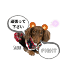 采楽ちゃんスタンプ第2弾♥（個別スタンプ：4）