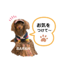 采楽ちゃんスタンプ第2弾♥（個別スタンプ：6）