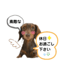 采楽ちゃんスタンプ第2弾♥（個別スタンプ：8）