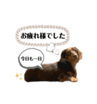 采楽ちゃんスタンプ第2弾♥（個別スタンプ：10）