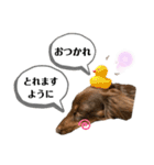 采楽ちゃんスタンプ第2弾♥（個別スタンプ：11）