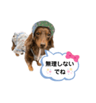 采楽ちゃんスタンプ第2弾♥（個別スタンプ：12）