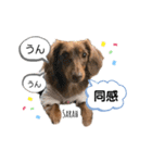 采楽ちゃんスタンプ第2弾♥（個別スタンプ：13）