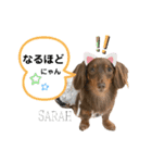 采楽ちゃんスタンプ第2弾♥（個別スタンプ：14）