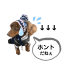 采楽ちゃんスタンプ第2弾♥（個別スタンプ：17）