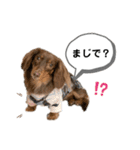 采楽ちゃんスタンプ第2弾♥（個別スタンプ：19）