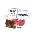 采楽ちゃんスタンプ第2弾♥（個別スタンプ：20）