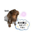 采楽ちゃんスタンプ第2弾♥（個別スタンプ：22）