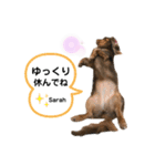 采楽ちゃんスタンプ第2弾♥（個別スタンプ：23）