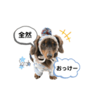 采楽ちゃんスタンプ第2弾♥（個別スタンプ：24）
