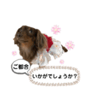 采楽ちゃんスタンプ第2弾♥（個別スタンプ：28）