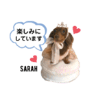 采楽ちゃんスタンプ第2弾♥（個別スタンプ：29）