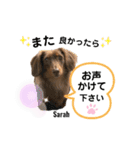 采楽ちゃんスタンプ第2弾♥（個別スタンプ：30）