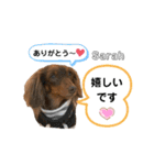 采楽ちゃんスタンプ第2弾♥（個別スタンプ：32）