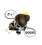 采楽ちゃんスタンプ第2弾♥（個別スタンプ：33）