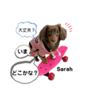 采楽ちゃんスタンプ第2弾♥（個別スタンプ：36）