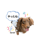 采楽ちゃんスタンプ第2弾♥（個別スタンプ：37）