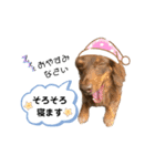 采楽ちゃんスタンプ第2弾♥（個別スタンプ：39）