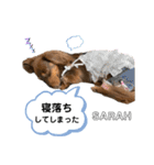 采楽ちゃんスタンプ第2弾♥（個別スタンプ：40）