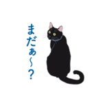 黒猫たちがくれた言葉（個別スタンプ：1）