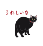 黒猫たちがくれた言葉（個別スタンプ：4）