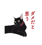 黒猫たちがくれた言葉（個別スタンプ：5）