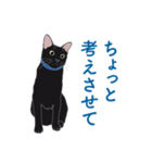 黒猫たちがくれた言葉（個別スタンプ：6）