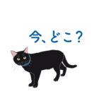 黒猫たちがくれた言葉（個別スタンプ：9）