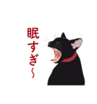 黒猫たちがくれた言葉（個別スタンプ：10）