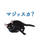 黒猫たちがくれた言葉（個別スタンプ：11）