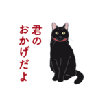 黒猫たちがくれた言葉（個別スタンプ：12）