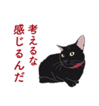 黒猫たちがくれた言葉（個別スタンプ：13）