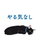 黒猫たちがくれた言葉（個別スタンプ：14）