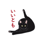 黒猫たちがくれた言葉（個別スタンプ：15）